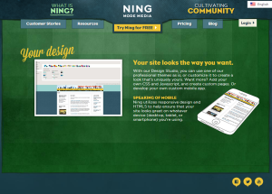 Your Ning Site Looks The Way You Want